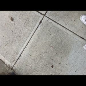 Meet your Posher, Harry